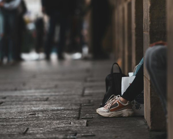 Le rôle des médias dans la sensibilisation à la protection animale